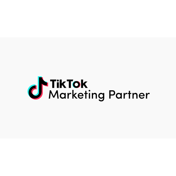 TikTok advertising platform